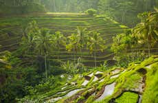 Tour privado por Ubud y el centro de Bali